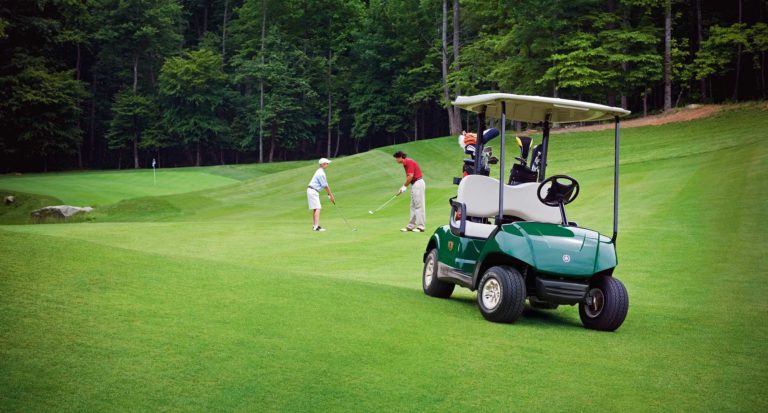 Golf cart batteries: Maintenance and Replacement