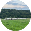 Tamboti Trading profile picture
