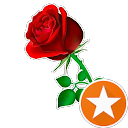 YYIB786 profile picture